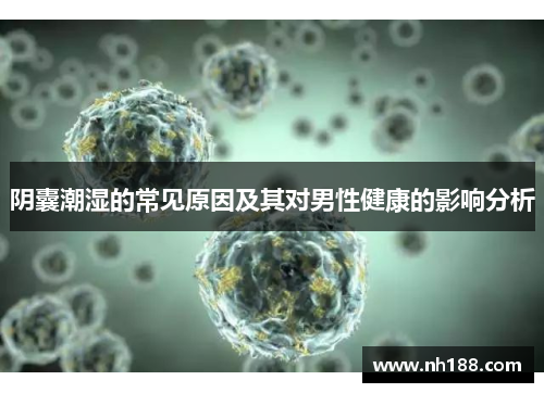 阴囊潮湿的常见原因及其对男性健康的影响分析