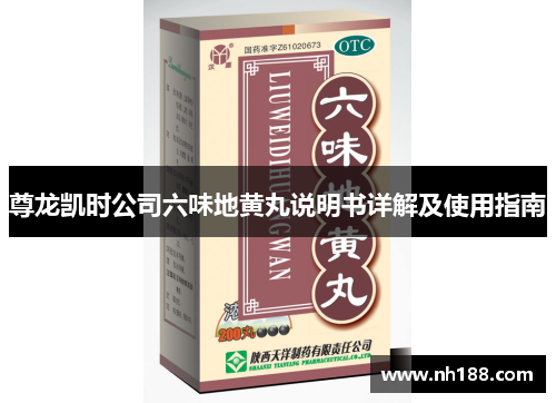 尊龙凯时公司六味地黄丸说明书详解及使用指南