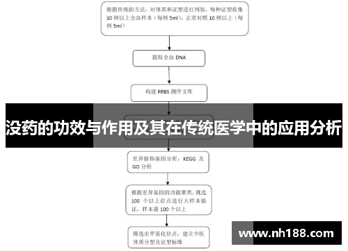 没药的功效与作用及其在传统医学中的应用分析