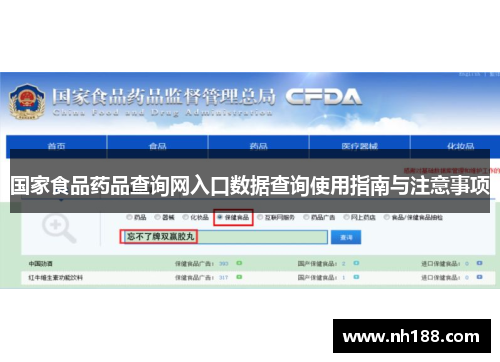国家食品药品查询网入口数据查询使用指南与注意事项